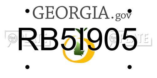 RB5I905 Georgia License Plate