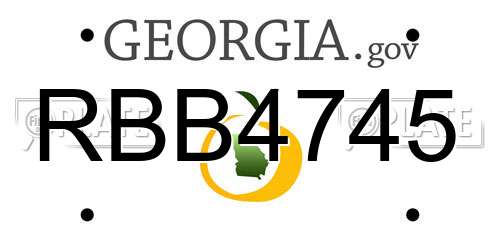 RBB4745 Georgia License Plate