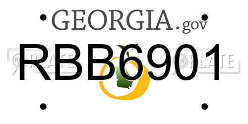 RBB6901 Georgia License Plate