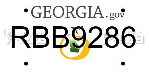 RBB9286 Georgia License Plate
