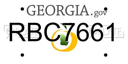 RBC7661 Georgia License Plate