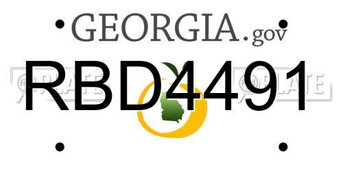 RBD4491 Georgia License Plate