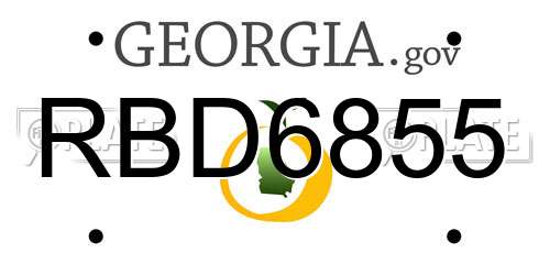 RBD6855 Georgia License Plate