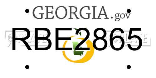 RBE2865 Georgia License Plate