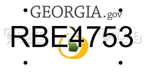 RBE4753 Georgia License Plate
