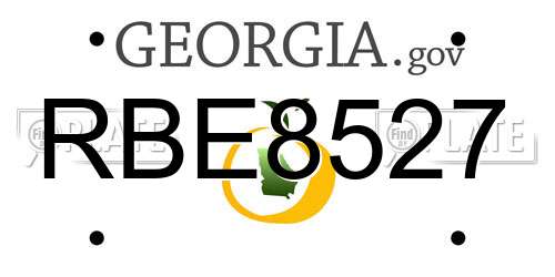 RBE8527 Georgia License Plate