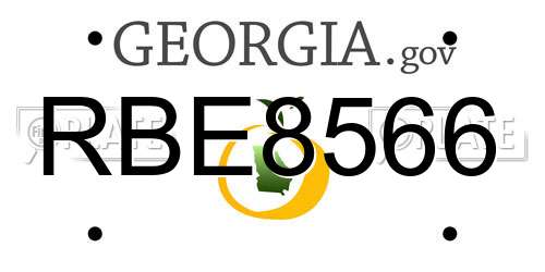 RBE8566 Georgia License Plate