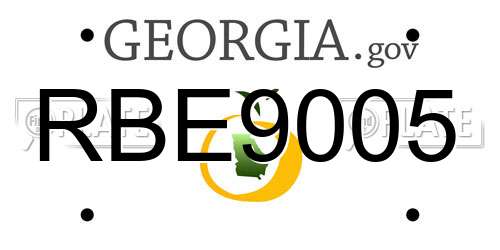 RBE9005 Georgia License Plate