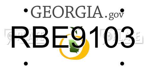 RBE9103 Georgia License Plate