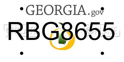 RBG8655 Georgia License Plate