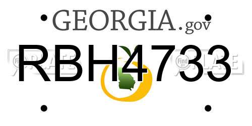 RBH4733 Georgia License Plate