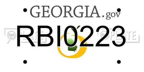 RBI0223 Georgia License Plate
