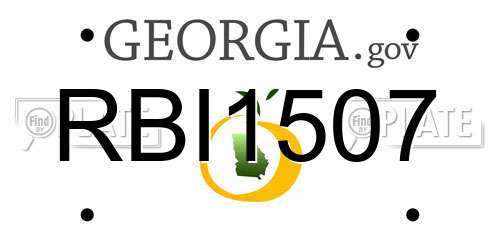 RBI1507 Georgia License Plate