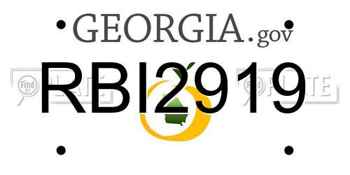 RBI2919 Georgia License Plate
