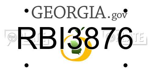 RBI3876 Georgia License Plate