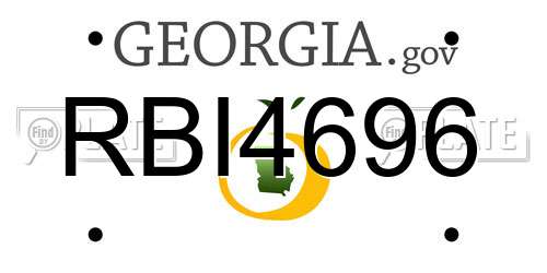 RBI4696 Georgia License Plate