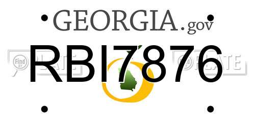 RBI7876 Georgia License Plate