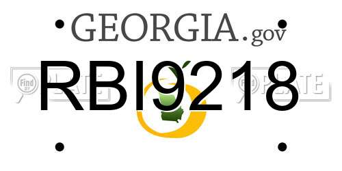 RBI9218 Georgia License Plate
