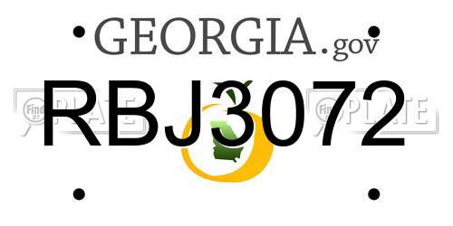 RBJ3072 Georgia License Plate