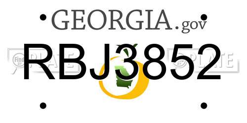 RBJ3852 Georgia License Plate