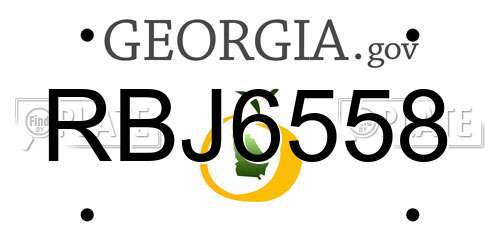 RBJ6558 Georgia License Plate