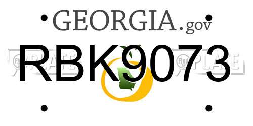 RBK9073 Georgia License Plate