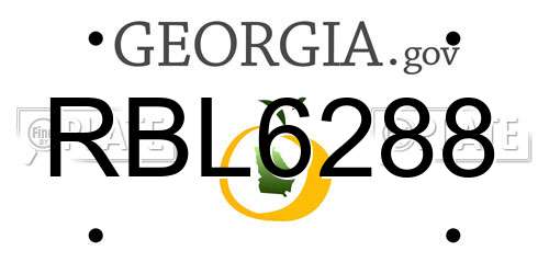 RBL6288 Georgia License Plate