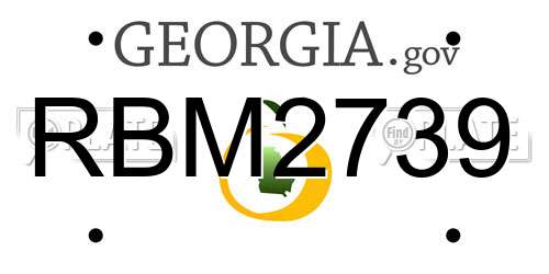 RBM2739 Georgia License Plate