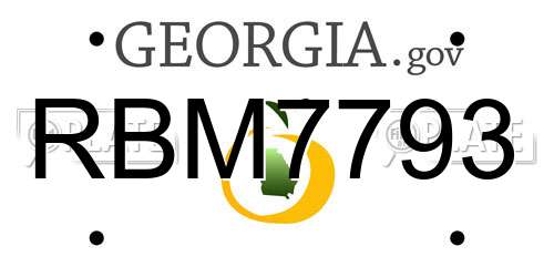 RBM7793 Georgia License Plate
