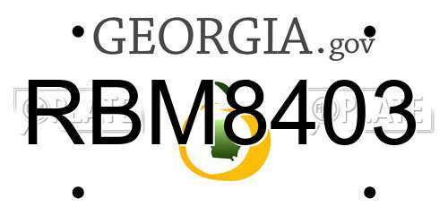 RBM8403 Georgia License Plate