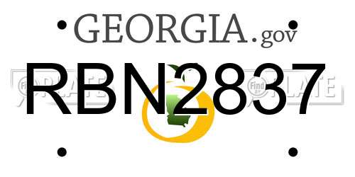 RBN2837 Georgia License Plate