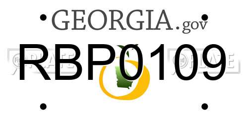 RBP0109 Georgia License Plate