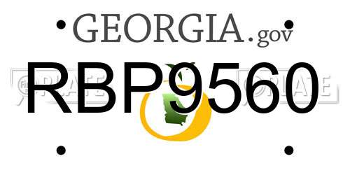 RBP9560 Georgia License Plate