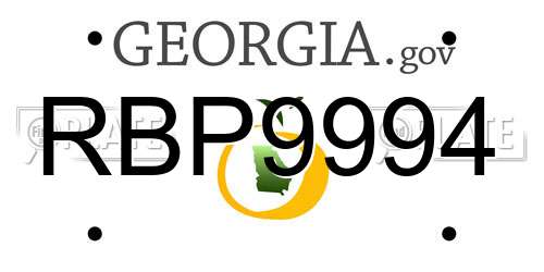 RBP9994 Georgia License Plate