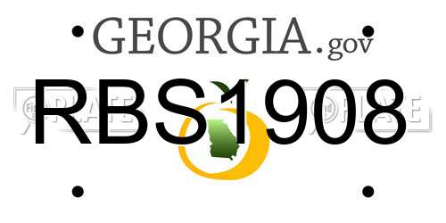 RBS1908 Georgia License Plate