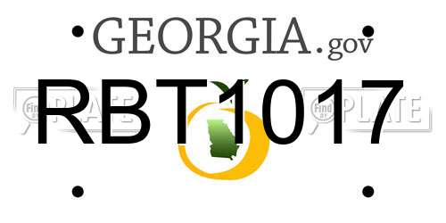 RBT1017 Georgia License Plate