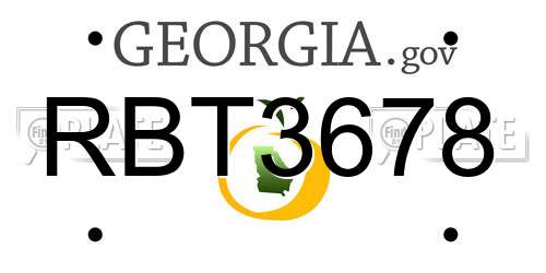 RBT3678 Georgia License Plate