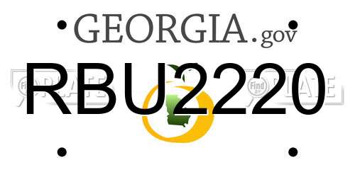 RBU2220 Georgia License Plate