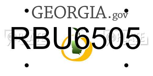 RBU6505 Georgia License Plate
