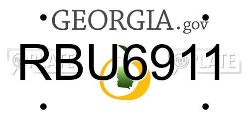 RBU6911 Georgia License Plate
