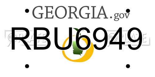 RBU6949 Georgia License Plate