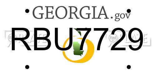 RBU7729 Georgia License Plate