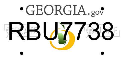RBU7738 Georgia License Plate