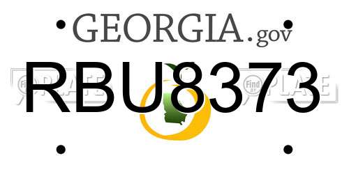 RBU8373 Georgia License Plate