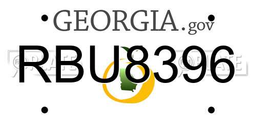 RBU8396 Georgia License Plate