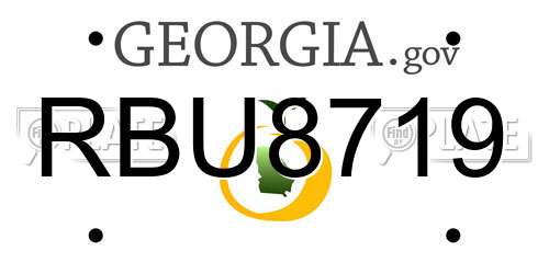 RBU8719 Georgia License Plate