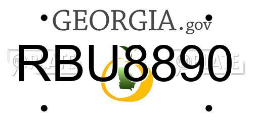 RBU8890 Georgia License Plate