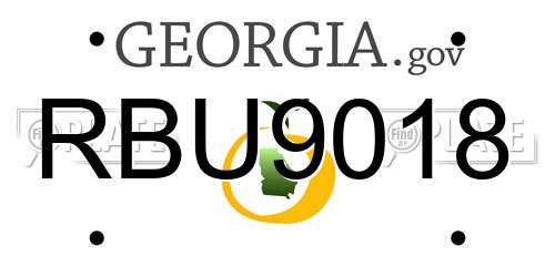 RBU9018 Georgia License Plate