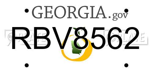 RBV8562 Georgia License Plate