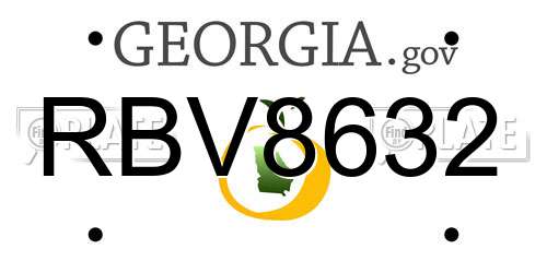 RBV8632 Georgia License Plate